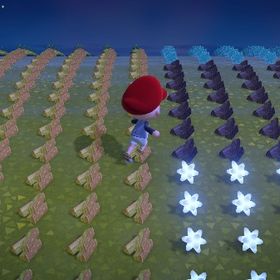 標準取り放題、(素材島、家具島1、2植物コンプ島)合計4島同時に利用可能 | あつまれ どうぶつの森(あつ森)のアイテム、RMTの販売・買取一覧