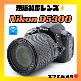 ニコン(Nikon)の❤️一本で遠近対応❤️Nikon D5300❤️Wi-Fi機能搭載❤️(デジタル一眼)