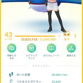 ポケモンGO 引退アカウント レベル43 | ポケモンGOのアカウントデータ、RMTの販売・買取一覧