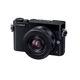 中古 1年保証 美品 Panasonic LUMIX DMC-GM5 標準ズームレンズキット ブラック