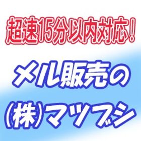 【安全重視・15分以内対応】メイプル ゆかり メル 5億メル＝620円～ | メイプルストーリーのアカウントデータ、RMTの販売・買取一覧