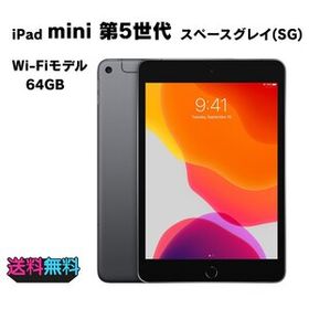 【動作確認・初期化済み】 SIMフリー Apple iPad mini 第5世代 64GB スペースグレイ