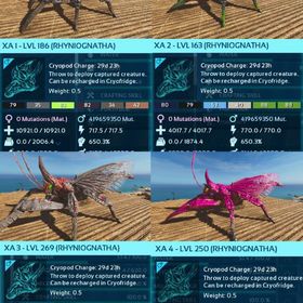 公式pve リニオグナタ 成体オリジナル | ARK Survival Evolvedのアカウントデータ、RMTの販売・買取一覧