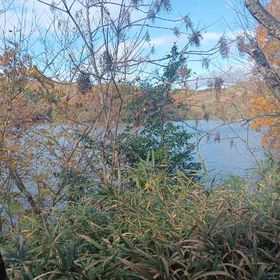 1mギルあたり500円 | FF14のアカウントデータ、RMTの販売・買取一覧