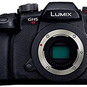 【中古】 パナソニック ミラーレス一眼カメラ ルミックス GH5S ボディ ブラック DC-GH5S-K