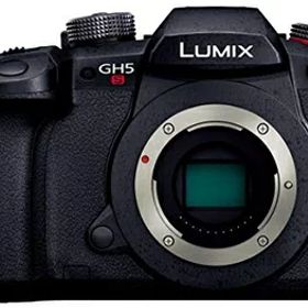 【中古】 パナソニック ミラーレス一眼カメラ ルミックス GH5S ボディ ブラック DC-GH5S-K