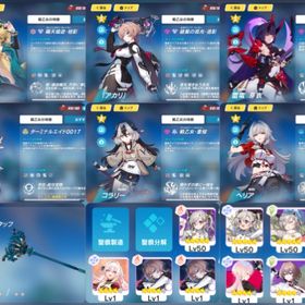 超神垢 激安 松雀＋アカリ＋雷の律者 共存 Tier1 セルマTCB＋十相の清祓 | 崩壊3rdのアカウントデータ、RMTの販売・買取一覧