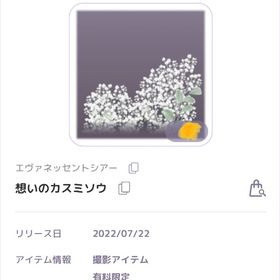 エヴァネッセントシアー 想いのカスミソウ 撮影アイテム | ピュアニスタのアカウントデータ、RMTの販売・買取一覧
