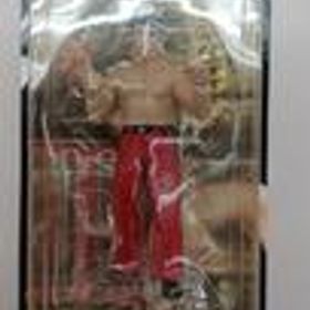 初代タイガーマスク 佐山聡 CHARACTERPRODUCT