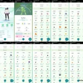 💥 【63 LV] 🔥 3.2M ダスト |⚡️ 44倍 色違い |⚡️チームなし |