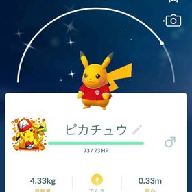 《トレード - アカウントPTC》 ✨色違いピカチュウインドネシア🇮🇩 | ポケモンGOのアカウントデータ、RMTの販売・買取一覧