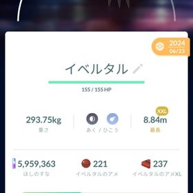 親名指定可能 XXLイベルタル | ポケモン剣盾(ソードシールド)のポケモン、RMTの販売・買取一覧