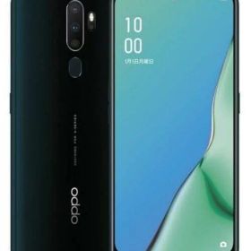 「+2倍ポイント・新品」OPPO A5 2020 本体 グリーン 国内版 64GB simフリー SIM FREE オッポ CPH1943 4580038876410