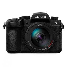 10年間保証付き パナソニック LUMIX DC-G99M2H 高倍率ズームレンズキット