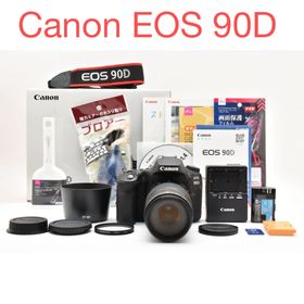キヤノン(Canon)のCanon EOS 90D望遠レンズセット/ Canon 75-300mm(デジタル一眼)