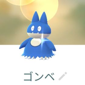 色違いゴンベ トレード | ポケモンGOのアカウントデータ、RMTの販売・買取一覧