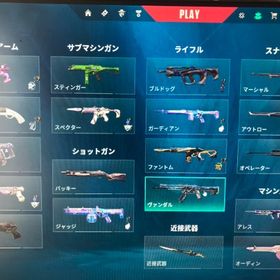 valorant 引退アカウント本日限定16000円 これ以上値下げありません！ | VALORANT(ヴァロラント)のアカウントデータ、RMTの販売・買取一覧