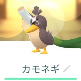 色違いガラルカモネギ トレード XL | ポケモンGOのアカウントデータ、RMTの販売・買取一覧