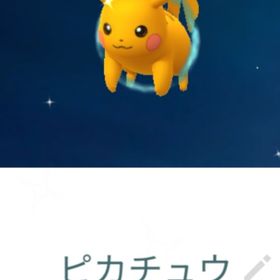 色違いバリ風船ピカチュウ トレード | ポケモンGOのアカウントデータ、RMTの販売・買取一覧