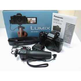 パナソニック Panasonic ミラーレス一眼 DC-G100V