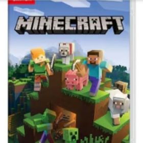 マインクラフトSwitch(家庭用ゲームソフト)