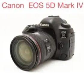 Canon EOS 5D Mark IV/EF24-70mm F4L IS