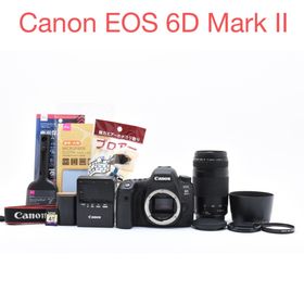 キヤノン(Canon)のCanon EOS 6D Mark II 望/Canon EF75-300mm (デジタル一眼)