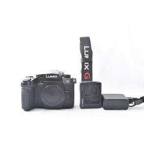 【美品】Panasonic LUMIX DC-G99 ボディ(ミラーレス一眼)