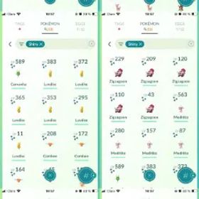 💥 【59名 LV】 🔥 2.7Mダスト |⚡️ 44倍 色違い |⚡️チームなし |