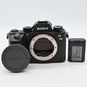 SONY α9 ボディ ILCE-9 ショット数 12540回
