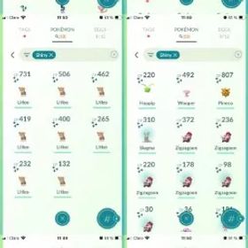 💥 【40名 LV】 🔥 3.0Mダスト |⚡️ 53倍 色違い |⚡️チームなし |