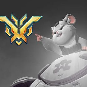 PC ow2 全ロールランク•アンランク•スタジアム格安代行 | オーバーウォッチ2(OW2)の代行、RMTの販売・買取一覧