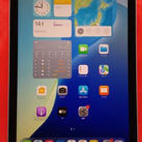 iPad mini MXN63J/A APPLE