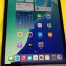 IPAD MINI MUX52J/A AU