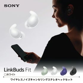 ソニー SONY 完全ワイヤレスイヤホン LinkBuds Fit リンクバッズフィット Bluetooth イヤホン ノイズキャンセリング ワイヤレス カナル型 小さい コンパクト ハイレゾ対応 WF-LS910N WZ ホワイト