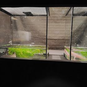 頭文字D the arcade代走募集 | 湾岸ナビゲーター(湾岸ミッドナイト)の代行、RMTの販売・買取一覧