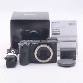 ソニー(SONY)のSONYα6700 ボディ(ミラーレス一眼)