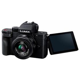 【中古】パナソニック 小型・軽量ミラーレス一眼カメラ ルミックス 標準ズームレンズキット ブラック DC-G100DK-K(ミラーレス一眼)