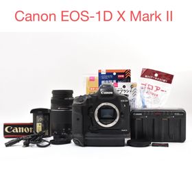 キヤノン(Canon)の一眼レフカメラCanon EOS-1D X Mark II 望遠レンズセット(デジタル一眼)