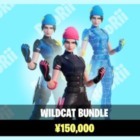 ワイルドキャット導入🎈 | フォートナイト(Fortnite)のアカウントデータ、RMTの販売・買取一覧