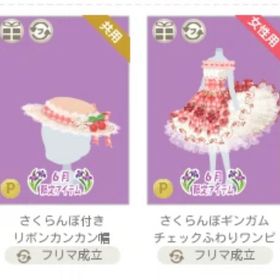 2点セット | ニコッとタウン(ニコタ)のアカウントデータ、RMTの販売・買取一覧