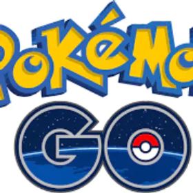 LV 28+ トレーナー