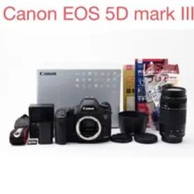 一眼レフカメラ Canon EOS 5D mark III/望遠レンズセット
