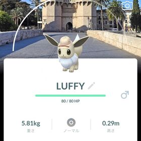 🔥✨色違いイーブイ バレンシア背景 | ポケモンGOのアカウントデータ、RMTの販売・買取一覧