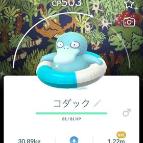 [非対面トレード】XXＬ色違い浮き輪コダックスペシャル背景 | ポケモンGOのアカウントデータ、RMTの販売・買取一覧