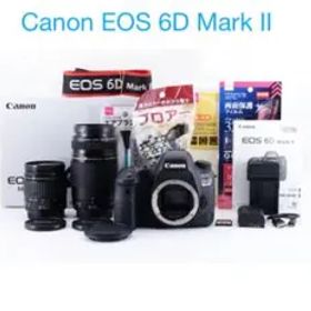 Canon EOS 6D mark II標準&望遠ダブルレンズセット