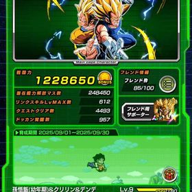 最終値下げ 周年キャラ全コンプ ゴルフリ&ゴジータ 引退アカウント LR166種 虹🌈多数 | ドッカンバトルのアカウントデータ、RMTの販売・買取一覧