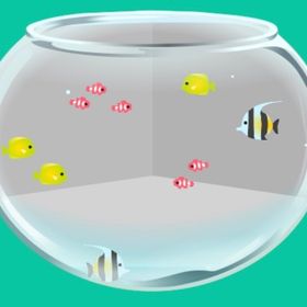 画像の物全て 最終値下げ | スペースデブリーズのアイテム、RMTの販売・買取一覧