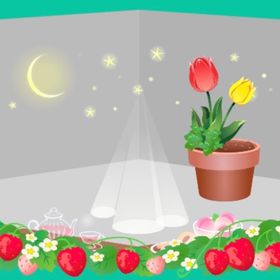 画像の物全て | スペースデブリーズのアイテム、RMTの販売・買取一覧