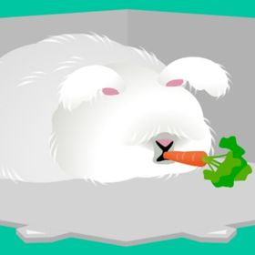 超BIGモッフモフウサ | スペースデブリーズのアイテム、RMTの販売・買取一覧